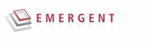 emergent consulting